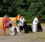 Превью фото № 31251