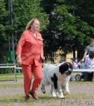 Превью фото № 31253