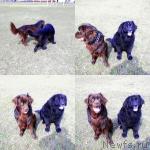 Превью фото № 3144