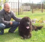 Превью фото № 31471