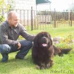 Превью фото № 31472