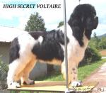 Превью фото № 31519