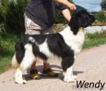 Превью фото № 31522