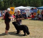 Превью фото № 31626