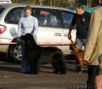 Превью фото № 31751