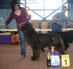 Превью фото № 3199