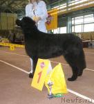 Превью фото № 32050