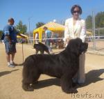 Превью фото № 32101