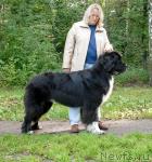 Превью фото № 32129