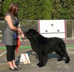 Превью фото № 32194