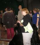 Превью фото № 32388