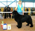 Превью фото № 3239