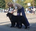 Превью фото № 32508