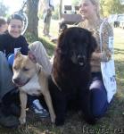 Превью фото № 32509