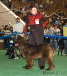 Превью фото № 32534