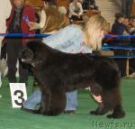 Превью фото № 32538