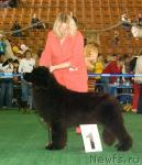 Превью фото № 32543