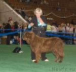 Превью фото № 32554