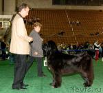 Превью фото № 32556