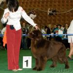 Превью фото № 32557