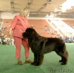 Превью фото № 32558