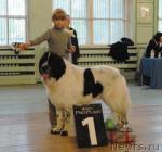 Превью фото № 32681