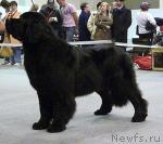 Превью фото № 32726