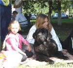 Превью фото № 32854