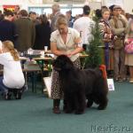 Превью фото № 32973