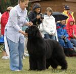 Превью фото № 32993