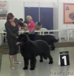 Превью фото № 33251