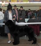 Превью фото № 33253