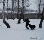 Превью фото № 33554