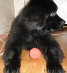 Превью фото № 3385