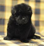 Превью фото № 33888