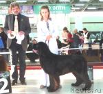 Превью фото № 33985