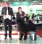 Превью фото № 33990