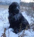 Превью фото № 34224