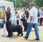 Превью фото № 34231