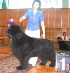 Превью фото № 3431