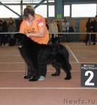 Превью фото № 34370