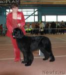 Превью фото № 34375