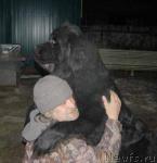 Превью фото № 34407