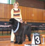 Превью фото № 3445