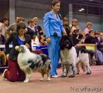 Превью фото № 34491