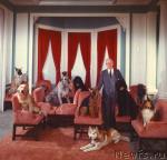 Превью фото № 34554