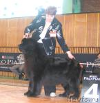 Превью фото № 3469