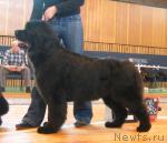 Превью фото № 3471