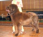 Превью фото № 3477