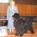 Превью фото № 3480